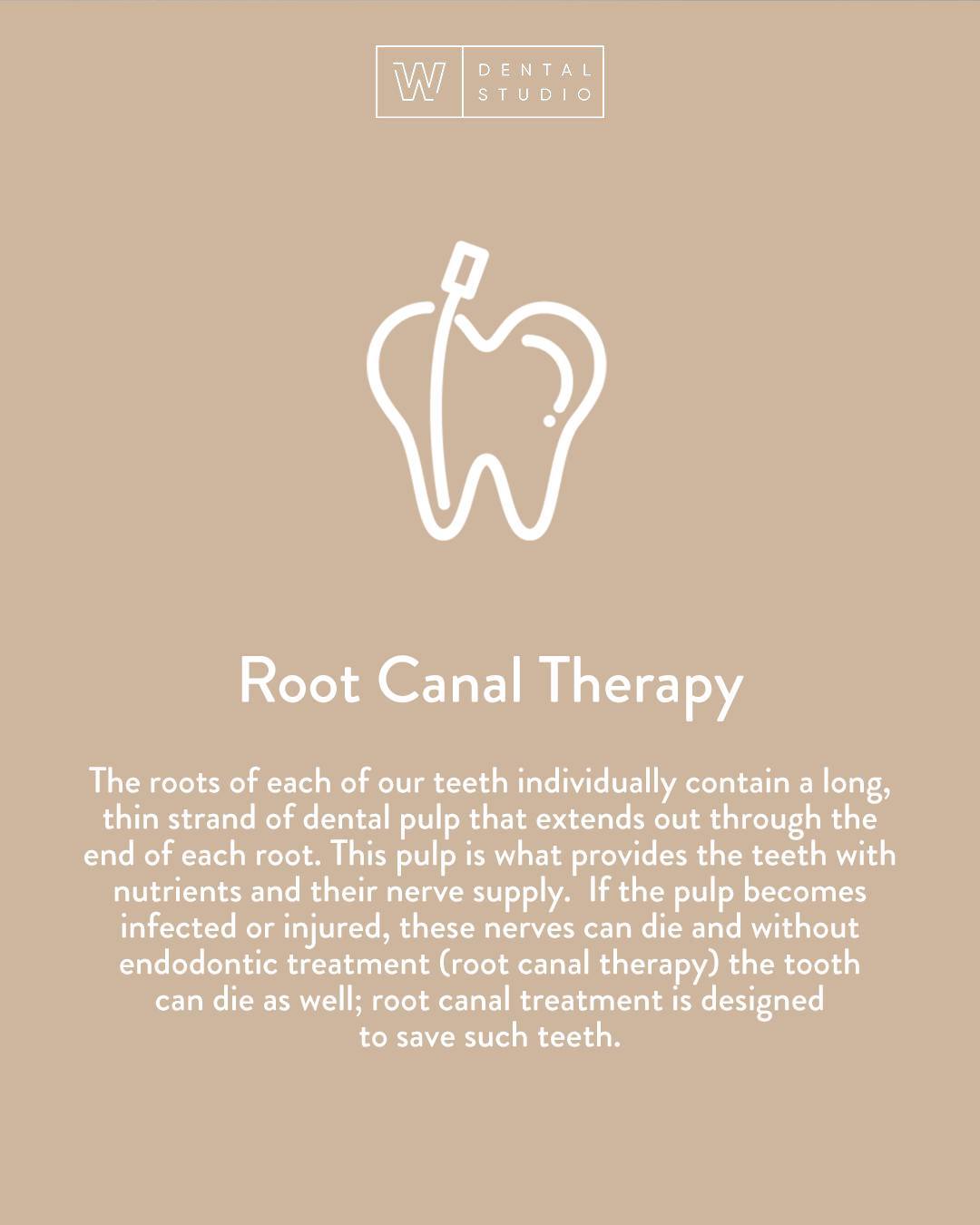 The roots of each of our teeth individually contain a long, thin strand of dental pulp that extends out through the end of each root.  This pulp is what provides the teeth with nutrients and their nerve supply.  If the pulp becomes infected or injured, these nerves can die and without endodontic treatment (root canal therapy) the tooth can die as well; root canal treatment is designed to save such teeth. 

Book an appointment: 

📞 613-564-3300
📍 270 Richmond Rd, Ottawa, ON
💻 https://www.wdentalstudio.com
📧 info@wdentalstudio.com